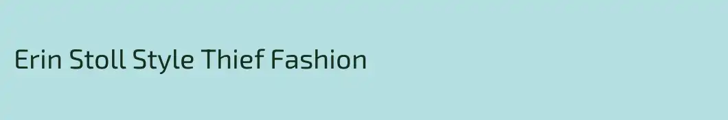 Erin Stoll Style Thief Fashion